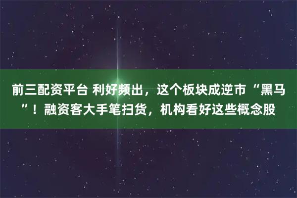 前三配资平台 利好频出，这个板块成逆市 “黑马”！融资客大手笔扫货，机构看好这些概念股